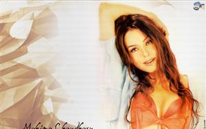 Mahima Chaudhary